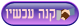 רכוש כעת
